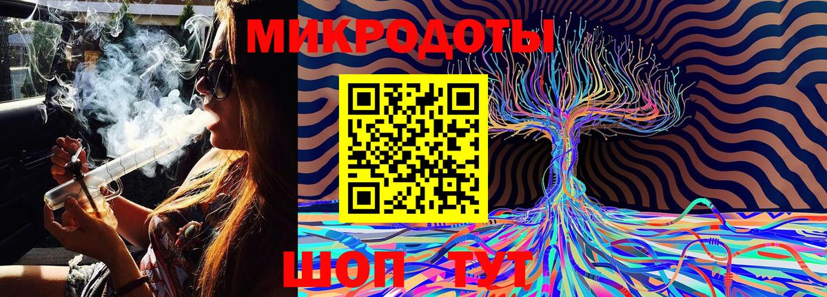 Псилоцибиновые грибы Psilocybine cubensis Краснознаменск