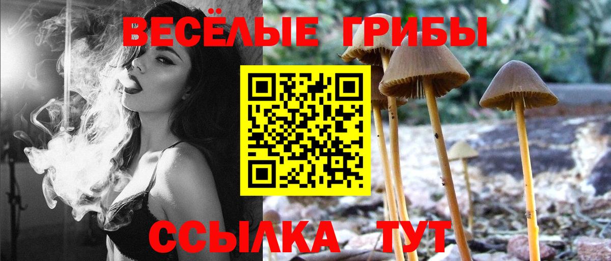 Краснознаменск  Галлюциногенные грибы Cubensis  Вход с VPN 